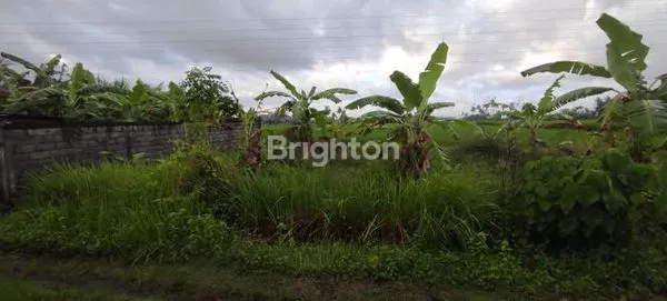 image TANAH MURAH DI BLAHBATUH GIANYAR (1)
