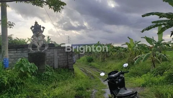 image TANAH MURAH DI BLAHBATUH GIANYAR (2)