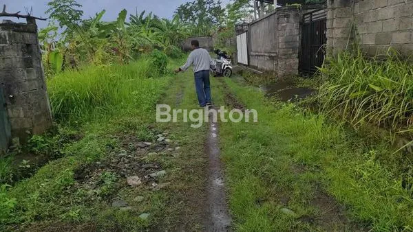 image TANAH MURAH DI BLAHBATUH GIANYAR (3)