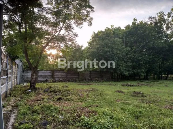 image TANAH MURAH DI BERBEK NGANJUK JAWA TIMUR  (6)