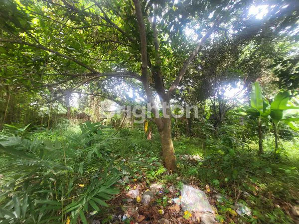 image KAVLING KRANGGAN SUDAH RAMAI DAN MURAH (4)