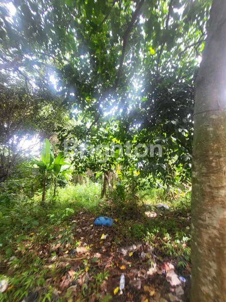 image KAVLING KRANGGAN SUDAH RAMAI DAN MURAH (5)