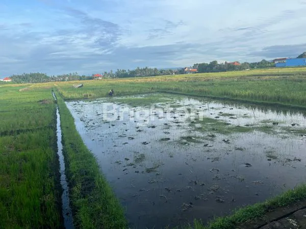 image TANAH LOKASI SANGAT LANGKA DEKAT PANTAI PIG STONE (3)