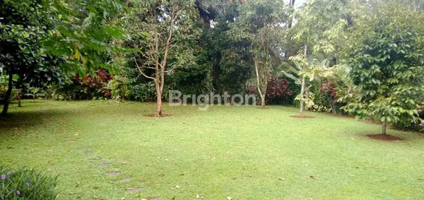 image RUMAH MEWAH HARGA MURAH FULL FURNISHED TANAH LUAS DI KAWASAN ELIT BOGOR (6)