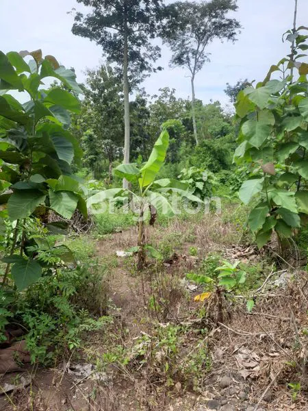 image TANAH 30 HEKTAR MANYARAN SEMARANG (2)