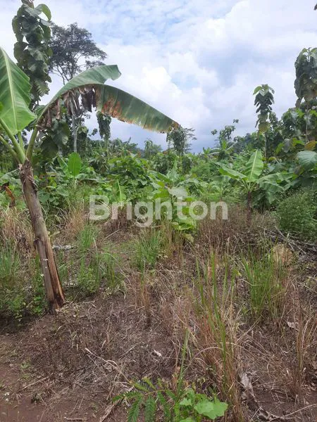 image TANAH 30 HEKTAR MANYARAN SEMARANG (3)