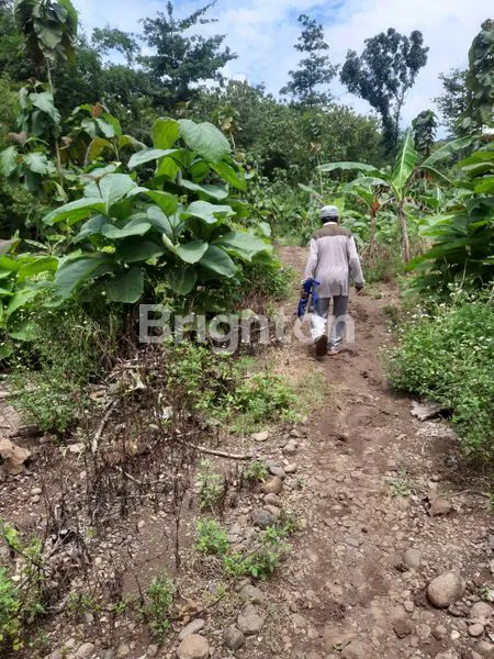 image TANAH 30 HEKTAR MANYARAN SEMARANG (1)