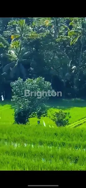 TANAH DI MEGATI, TABANAN, 90 ARE