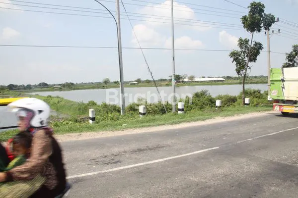 image TANAH SIDAYU GRESIK (1)