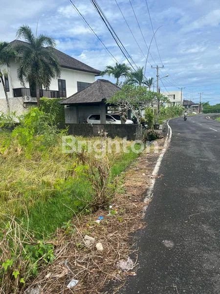 TANAH SANGAT LANGKA DI PESISI PANTAI