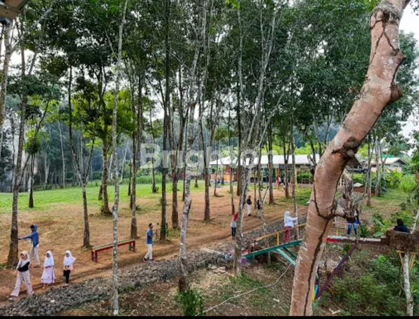 image TAMAN YASMIN, CIMARGA (1)