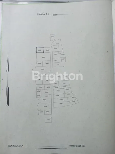 image TANAH AREA PEJENG UBUD GIANYAR (6)