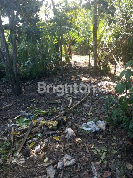 TANAH AREA PEJENG UBUD GIANYAR