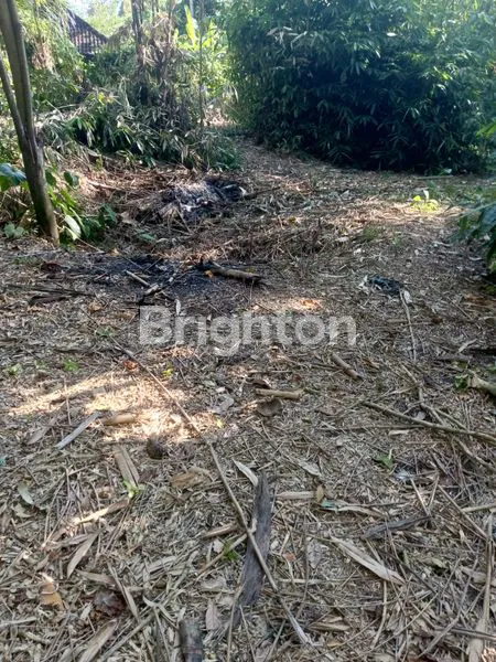 image TANAH AREA PEJENG UBUD GIANYAR (4)