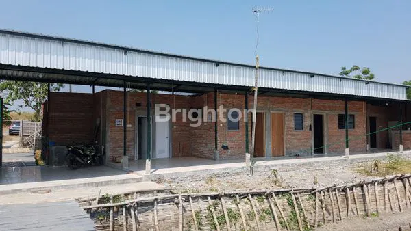 image TAMBAK UDANG PERMISAN PORONG (3)