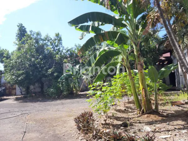 image GUDANG GUNUNG GANGSIR BEJI PASURUAN  JAWA TIMUR (7)