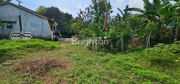 image TANAH INVESTASI 300M² SIAP BANGUN DI GUNUNG PATI SEMARANG (6)