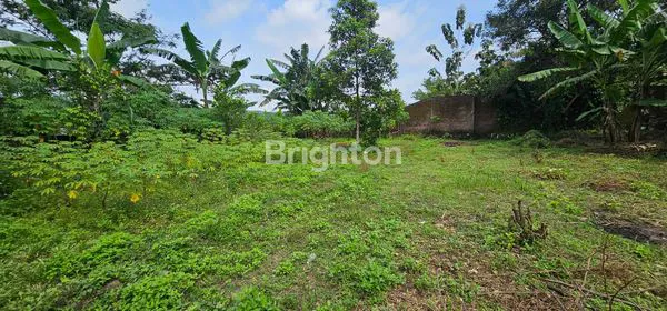 image TANAH INVESTASI 300M² SIAP BANGUN DI GUNUNG PATI SEMARANG (1)
