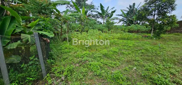 image TANAH INVESTASI 300M² SIAP BANGUN DI GUNUNG PATI SEMARANG (7)
