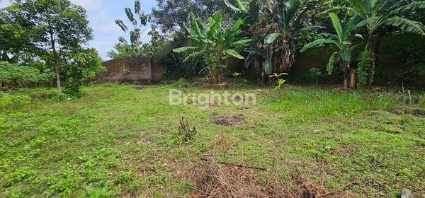 image TANAH INVESTASI 300M² SIAP BANGUN DI GUNUNG PATI SEMARANG (5)