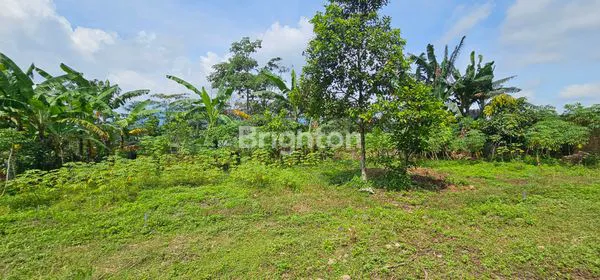 image TANAH INVESTASI 300M² SIAP BANGUN DI GUNUNG PATI SEMARANG (2)