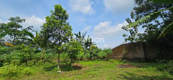 image TANAH INVESTASI 300M² SIAP BANGUN DI GUNUNG PATI SEMARANG (3)