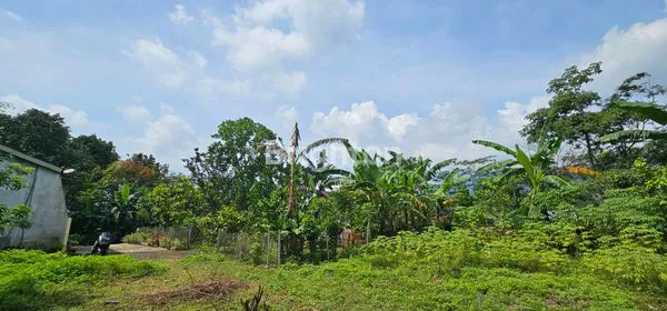 image TANAH INVESTASI 300M² SIAP BANGUN DI GUNUNG PATI SEMARANG (4)