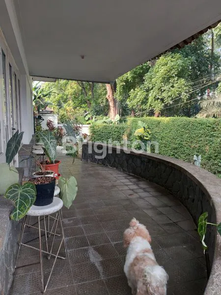 image DIJUAL RUMAH BANGUNAN PENINGALAN BELANDA DILOKASI STARTEGIS JALAN DAGO KOTA BANDUNG. (3)