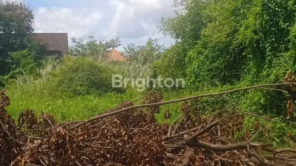 image TANAH STRATEGIS 15 ARE DI JALAN GUNUNG CATUR – INVESTASI MENGUNTUNGKAN! (1)