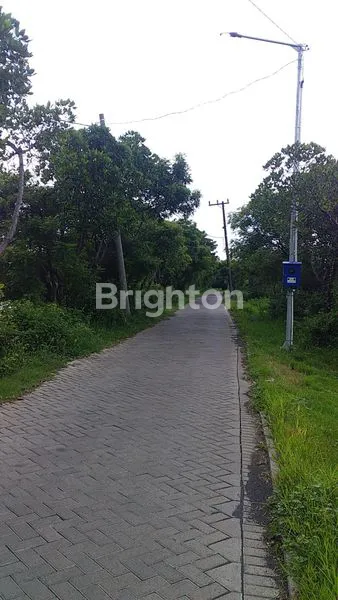 image TANAH TAMBAK PRODUKTIF (3)