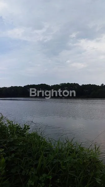 image TANAH TAMBAK PRODUKTIF (2)