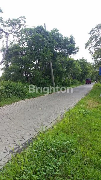 image TANAH TAMBAK PRODUKTIF (4)