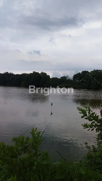 TANAH TAMBAK PRODUKTIF