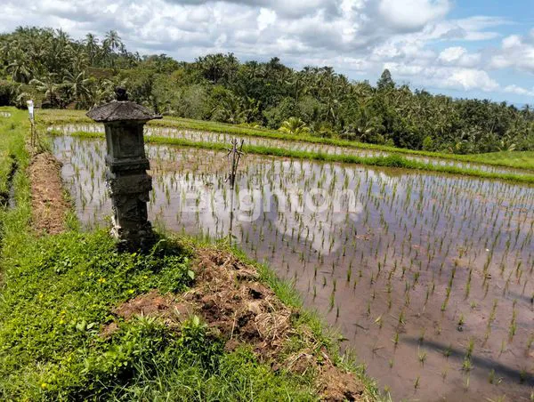 image TANAH SHM 4270M² LOKASI PREMIUM DEKAT AIR TERJUN SING-SING ANGIN (1)