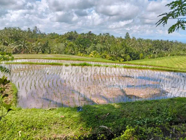 image TANAH SHM 4270M² LOKASI PREMIUM DEKAT AIR TERJUN SING-SING ANGIN (4)