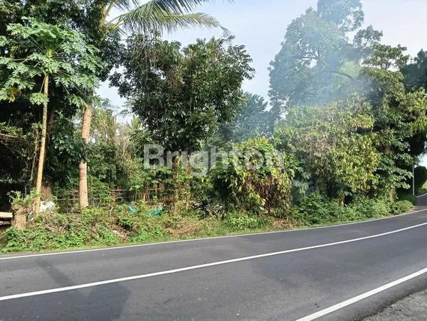 image TANAH KEBUN PINGGIR JALAN COCOK UNTUK BISNIS PARIWISATA DENGAN KONSEP ALAM (1)