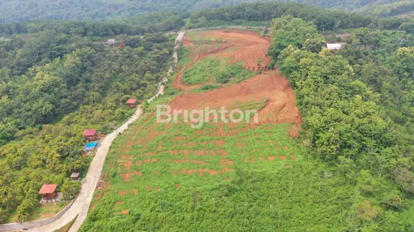 image INVESTASI MENGUNTUNGKAN, TANAH STRATEGIS 24.990M2 DEKAT KOTA KEDIRI (2)