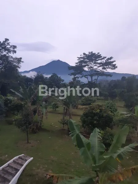 image RUMAH ASRI COCOK UNTUK VILLA (7)