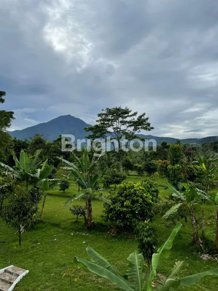image RUMAH ASRI COCOK UNTUK VILLA (5)