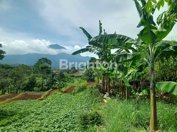 image TANAH DENGAN VIEW GUNUNG SALAK (3)