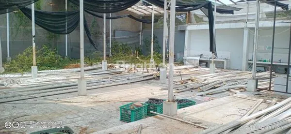 image RAYA MEDOKAN SEMAMPIR TIMUR (3)