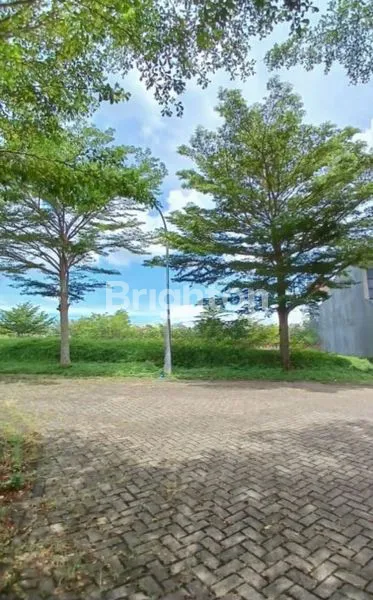 image TANAH DI DEKAT BINUS ARAYA MALANG (1)