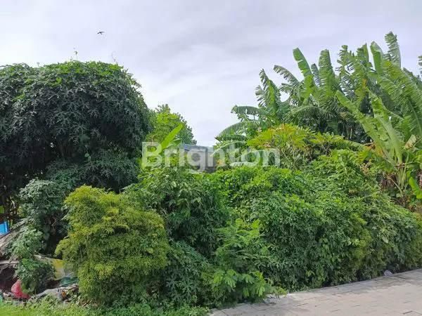 image TANAH DI BATU BULAN KANGIN (2)