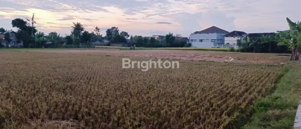 image DIJUAL TANAH LUAS DI IMOGIRI (1)