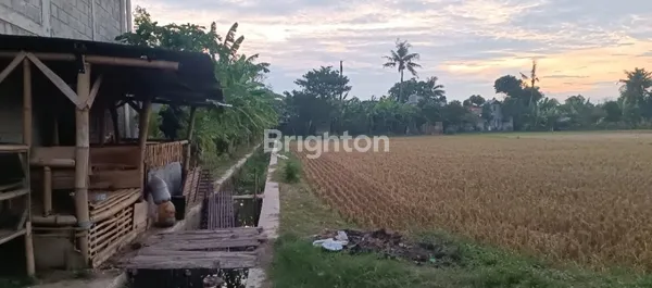 image DIJUAL TANAH LUAS DI IMOGIRI (2)