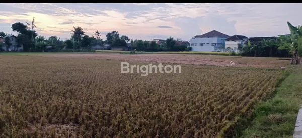 image DIJUAL TANAH LUAS DI IMOGIRI (3)