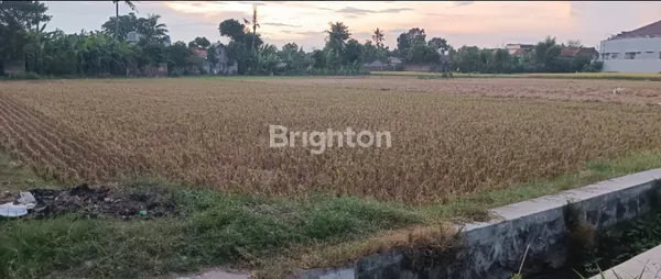 image DIJUAL TANAH LUAS DI IMOGIRI (4)