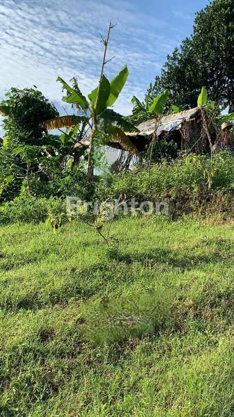 image DAGO PAKAR KAVLING BUNI WANGI LEMBANG, DEKAT TAMAN HUTAN RAYA TAHURA, BANDUNG (2)