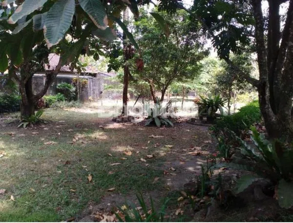 image PEKARANGAN SIAP BANGUN ATAU USAHA DEKAT SAMSAT SLEMAN  (1)