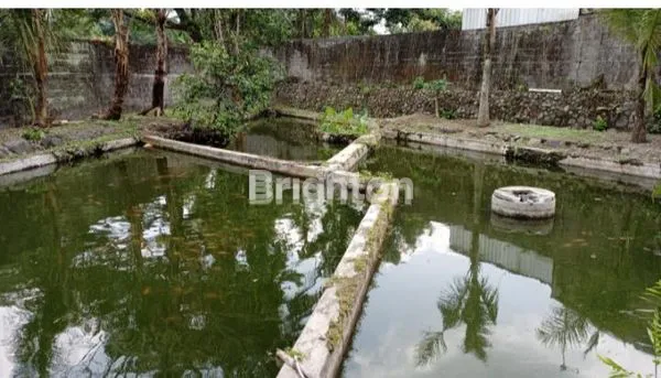 image PEKARANGAN SIAP BANGUN ATAU USAHA DEKAT SAMSAT SLEMAN  (2)